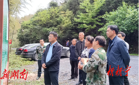 于金旺来新宁调研巡林工作_邵阳头条网